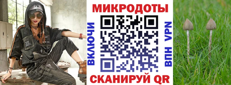 Купить  Ковдор  Псилоцибиновые грибы Cubensis 